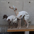 Refined Tail Shorts