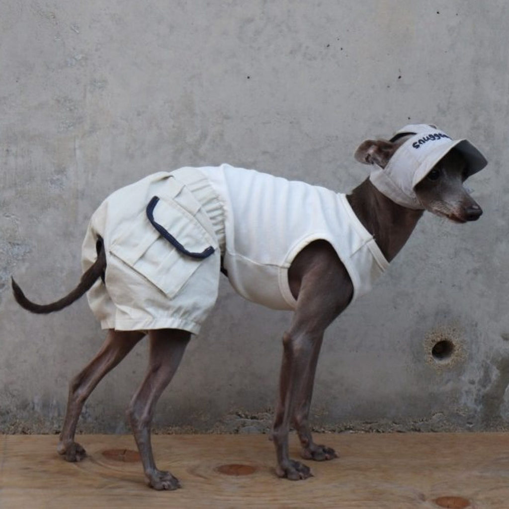 Refined Tail Shorts