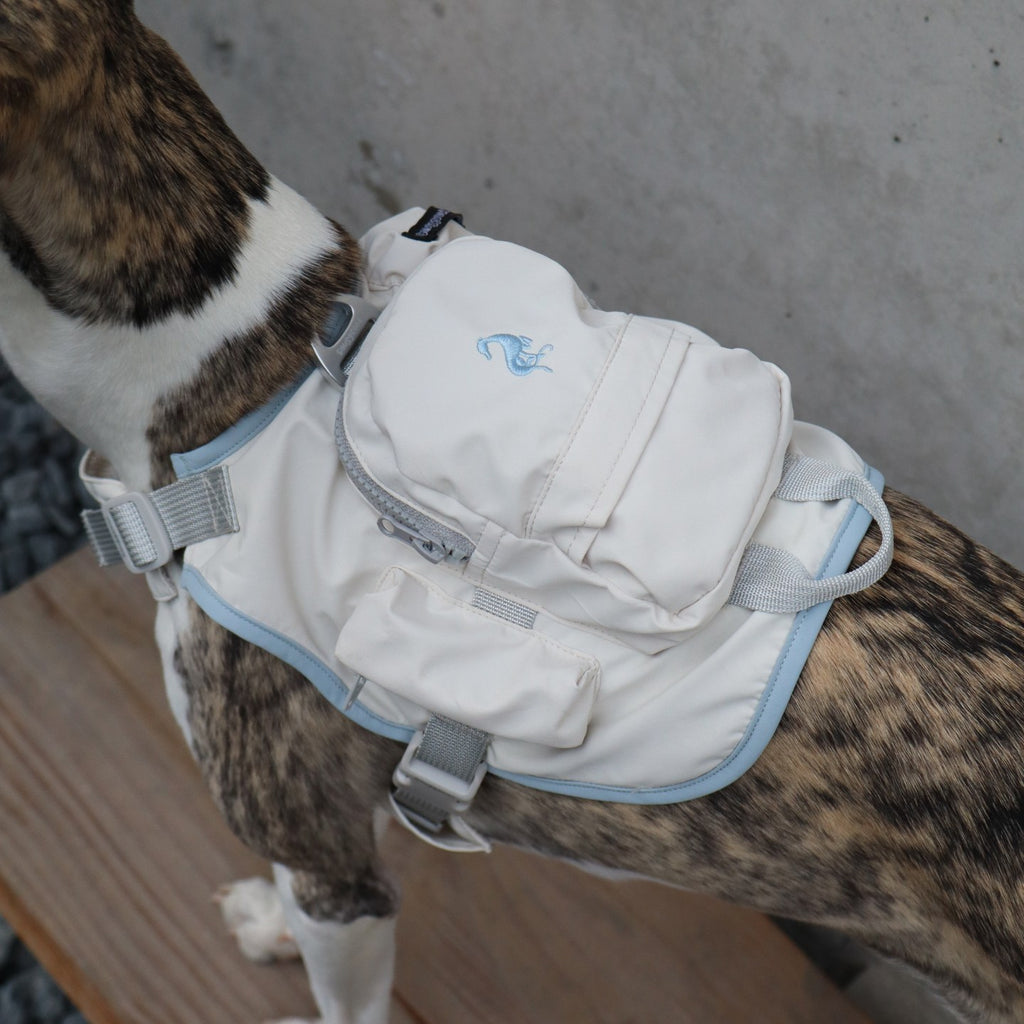 Utility Walk Backpack