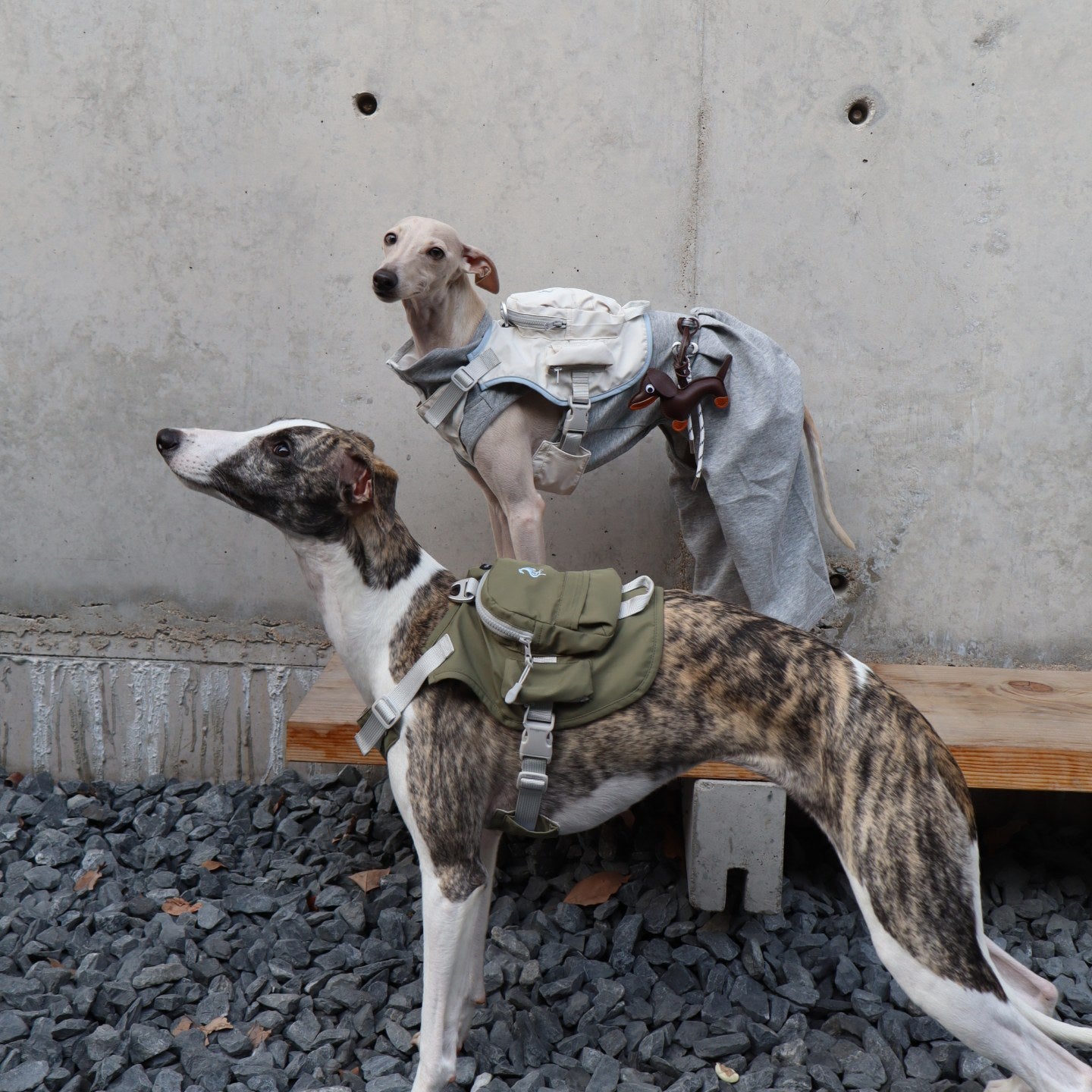 Utility Walk Backpack
