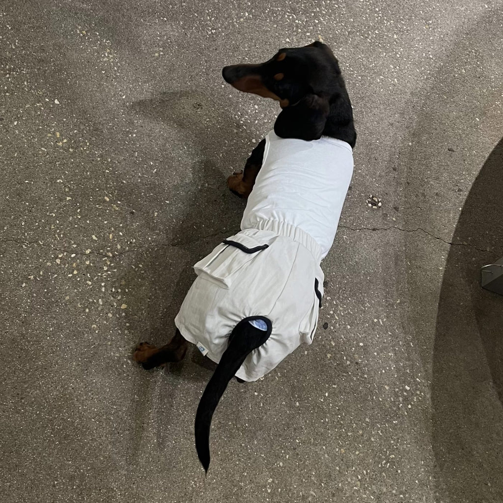 Refined Tail Shorts