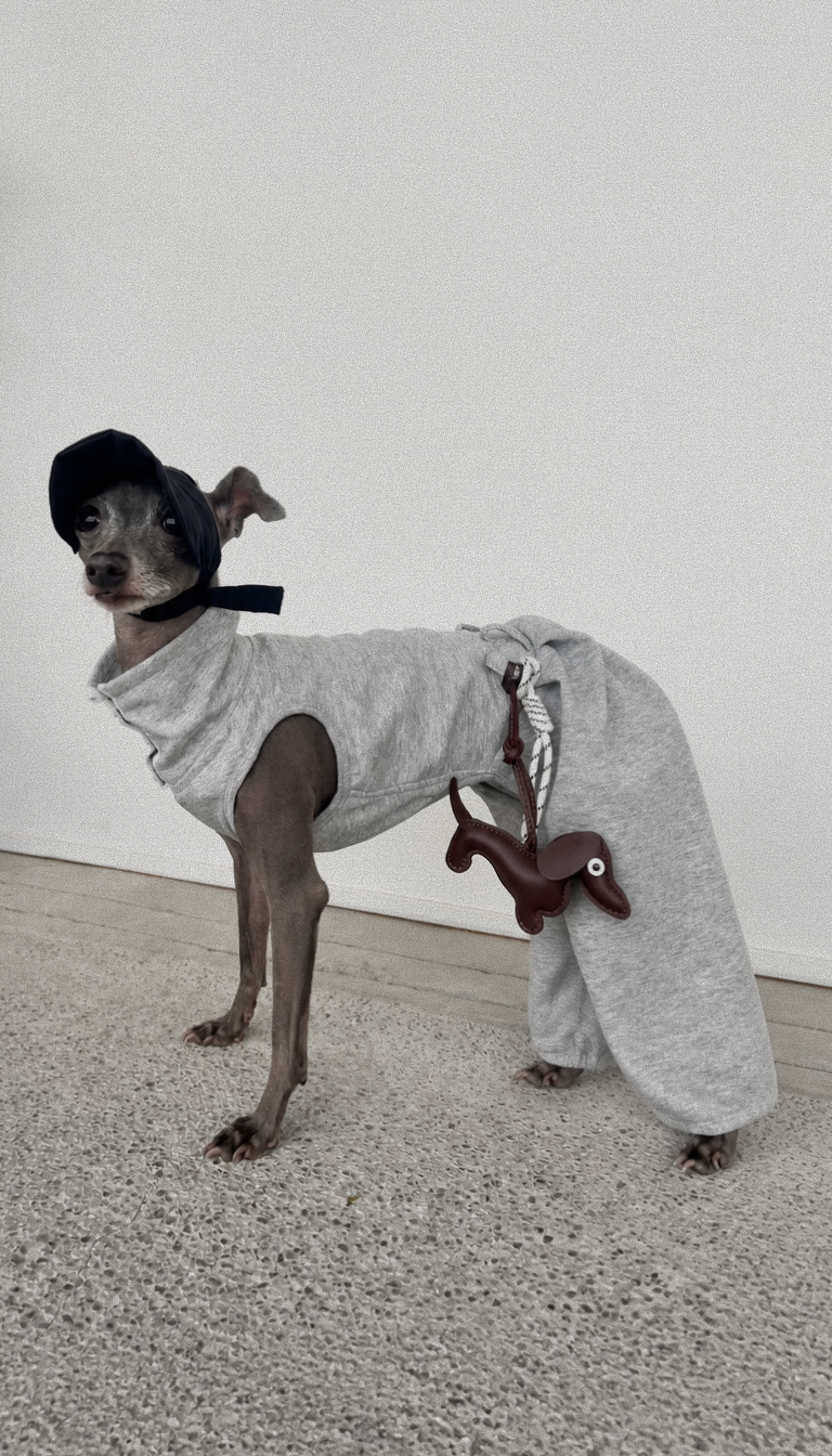 Turtleneck Curved Pet Pants