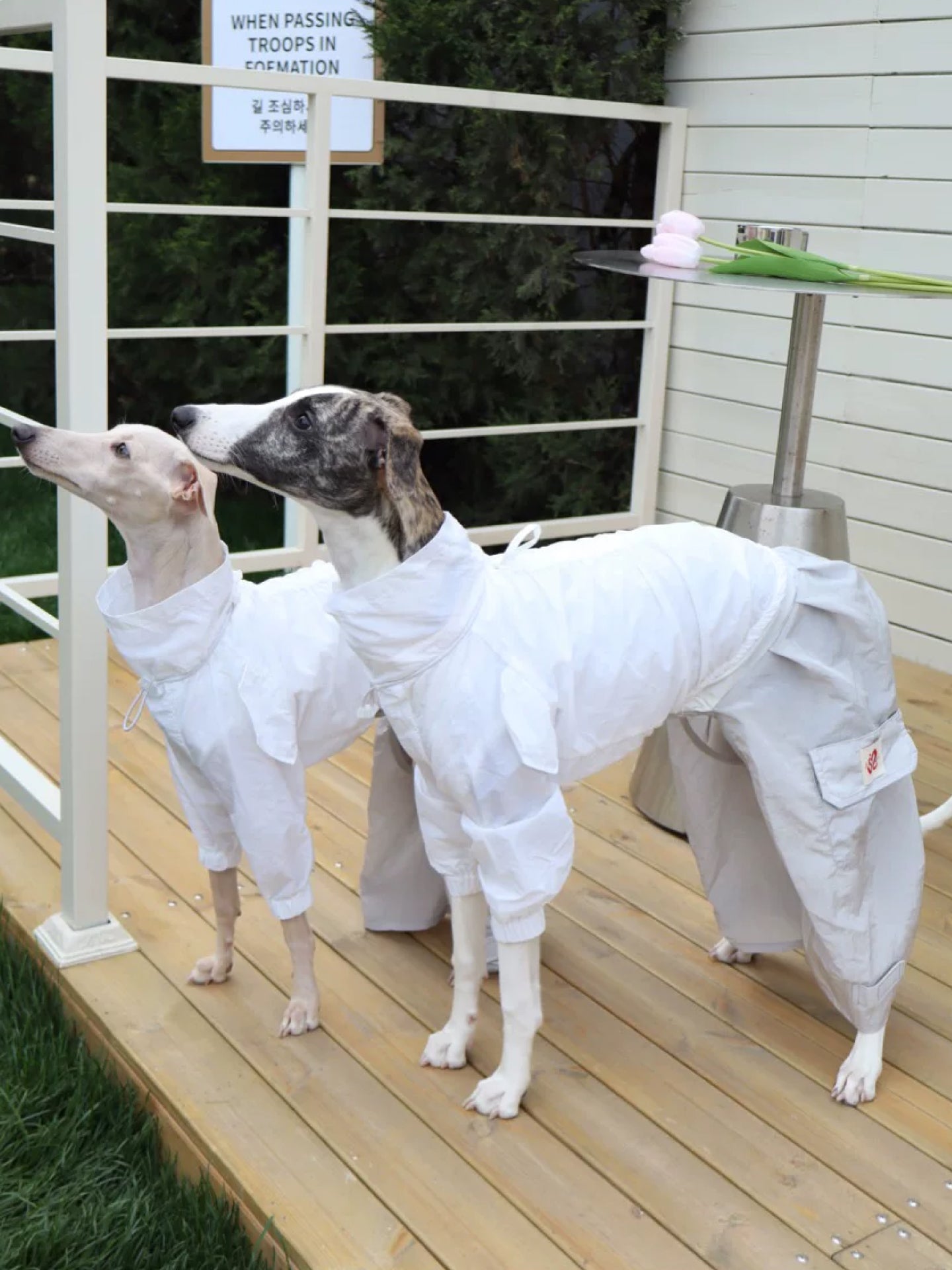 Lightweight Antibacterial Sun Layer