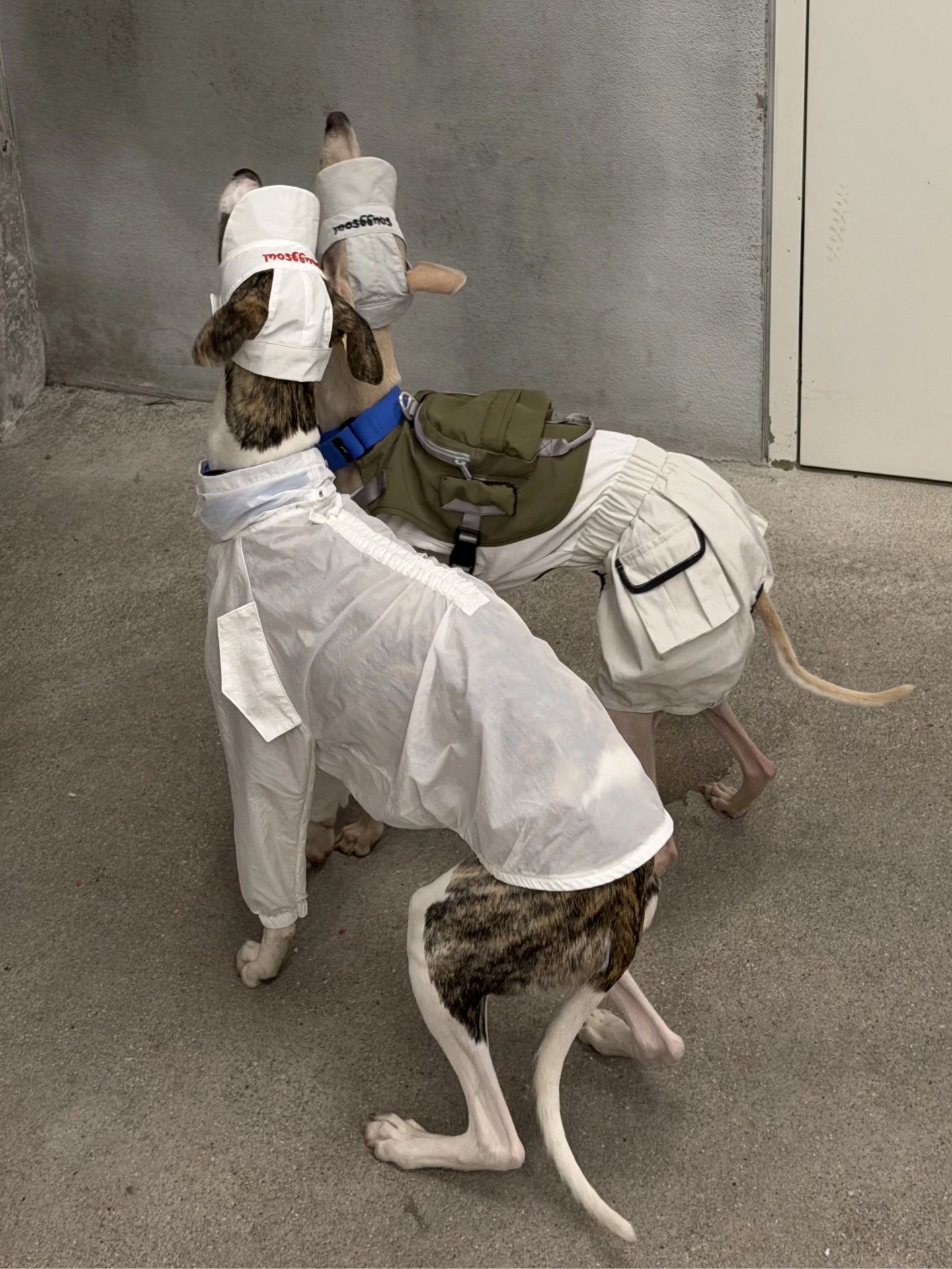Lightweight Antibacterial Sun Layer